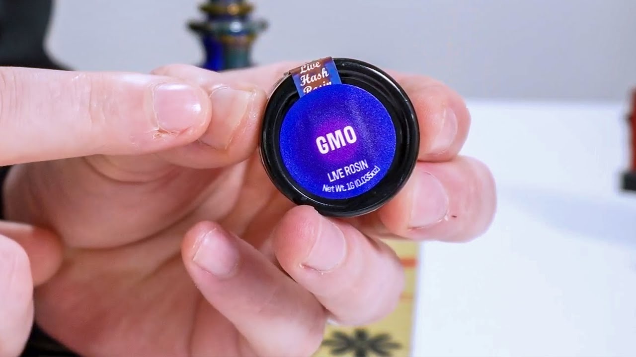 What is a GMO?!