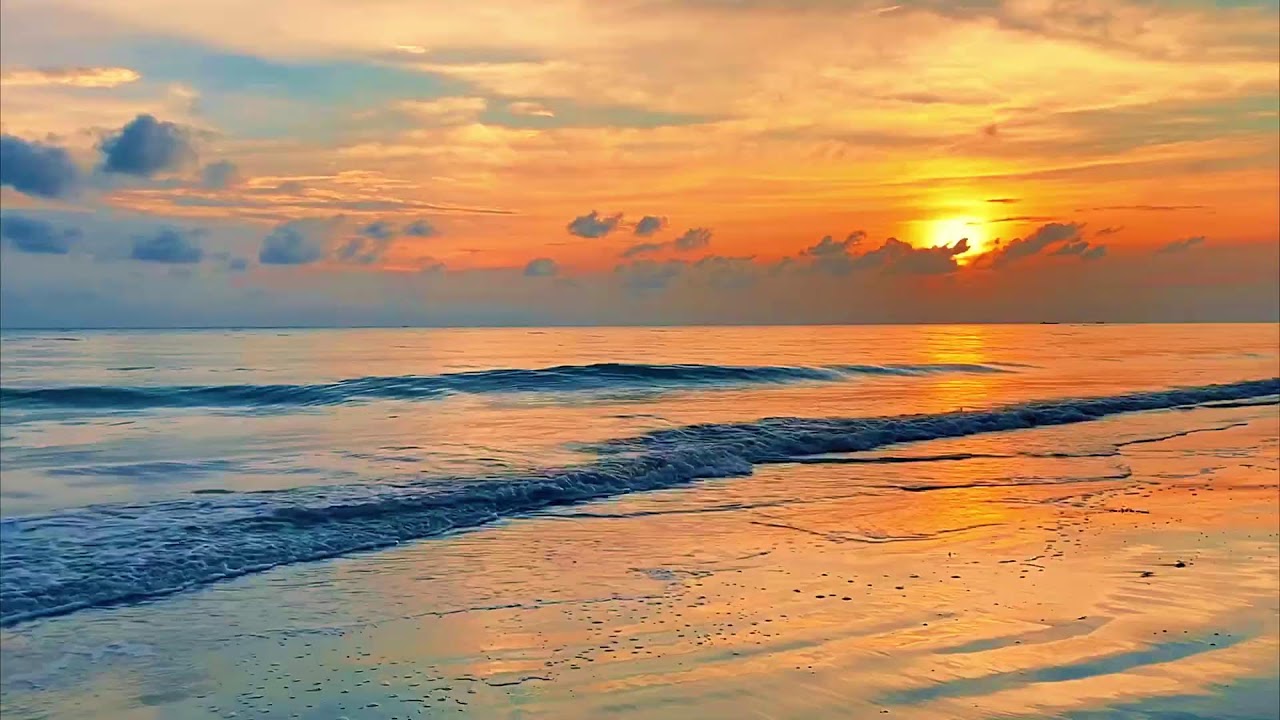 Gentle Ocean Waves ASMR 🌙 Night Beach Sounds to Fall Asleep Instantly