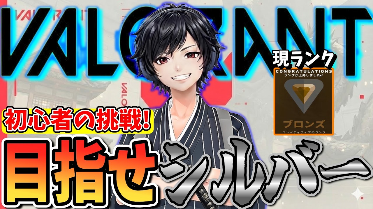 【 Valorant 】初心者がブロンズ１からシルバーを目指して頑張ります！