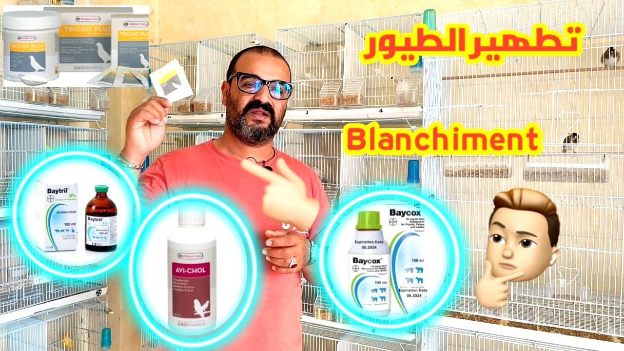 تطهير الطيور blanchiment أو التبيض قبل الإنتاج هل هو ضروري و ماهي المنتوجات التي أستعمل
