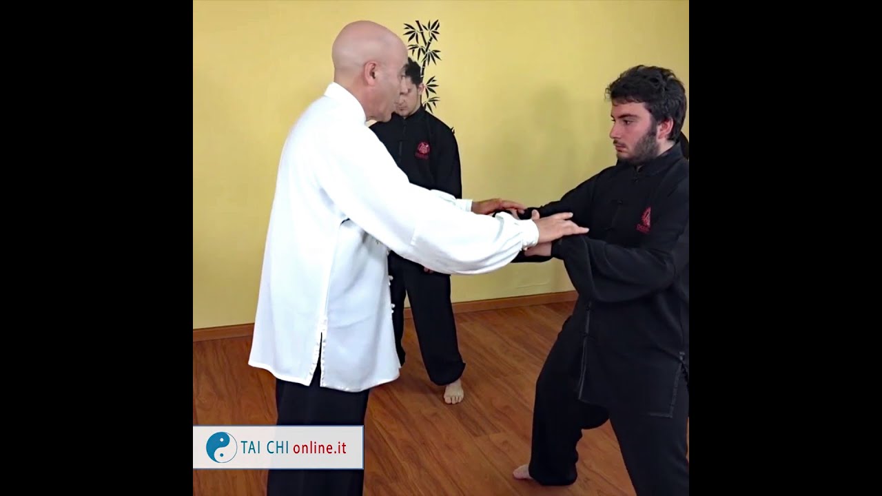 Tai Chi Nei Gong ~ Piantare l'Albero. Video lezione gratuita M° Flavio Daniele - Tai Chi Online.it