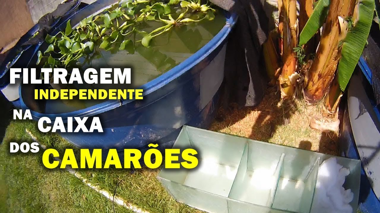 FILTRAGEM INDEPENDENTE PARA OS CAMARÕES Canal Saalada