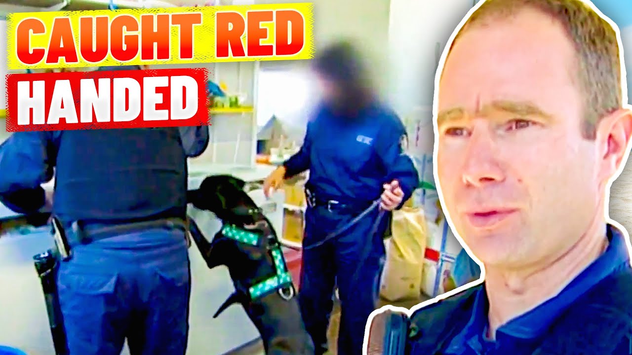 Sniffer Dog in Action! Illegal Fishers Busted