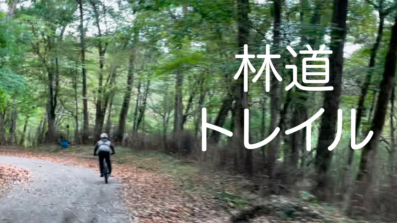 【MTB】マウンテンバイク　林道トレイル　trek mtb