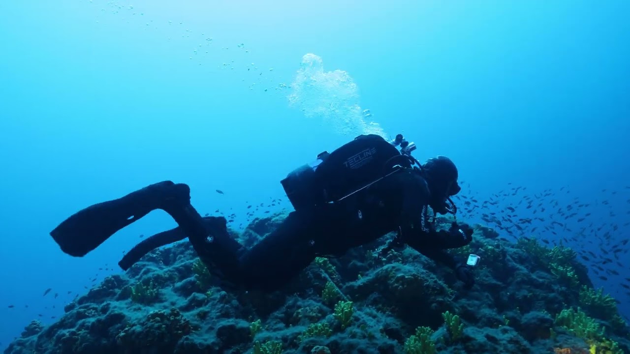 dive the unkown Ursus Reef, in Chalkidiki, Greece