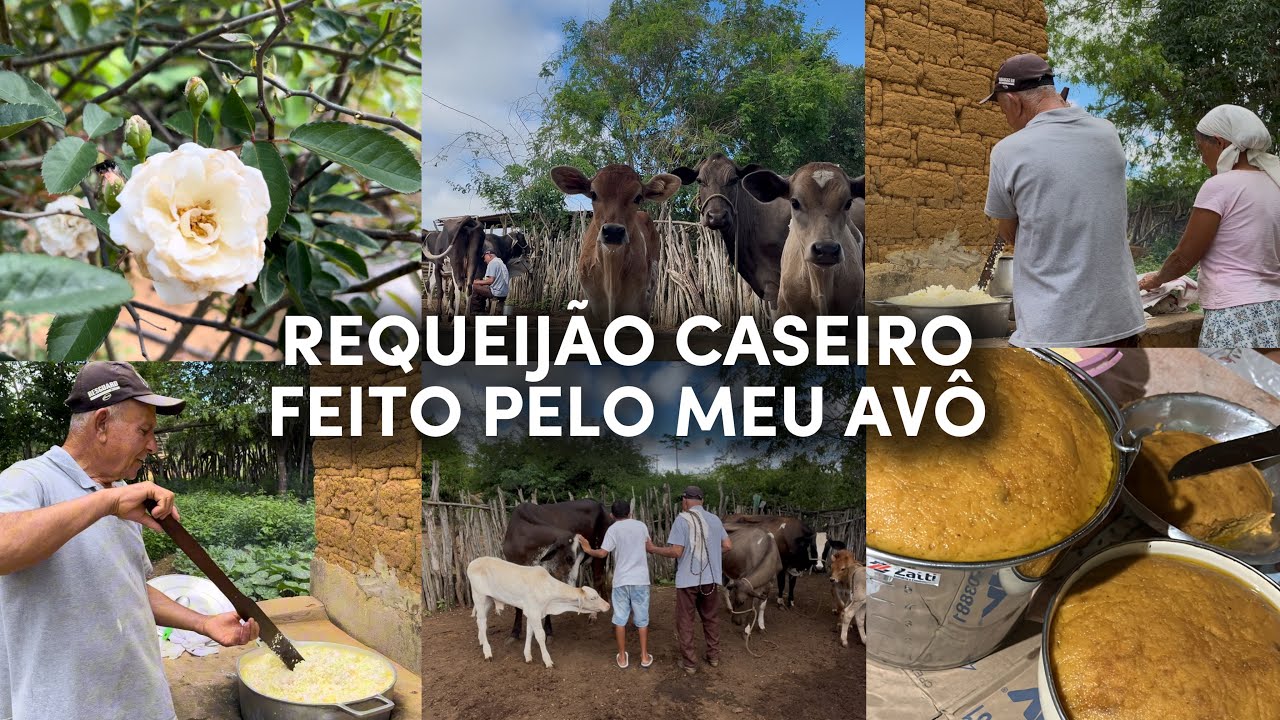 PASSEIO NO SÍTIO E REQUEIJÃO CASEIRO FEITO PELO MEU AVÔ