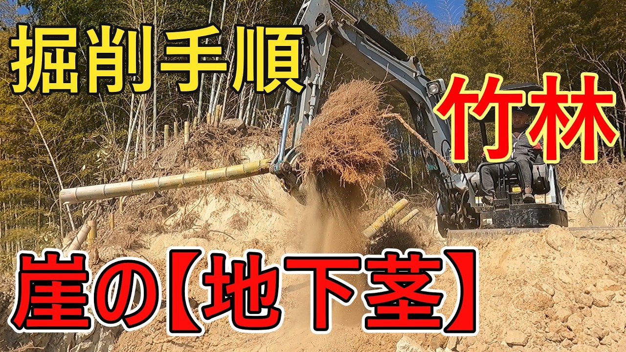 海の秘密基地＃４１９斜面の【地下茎】掘削してみた