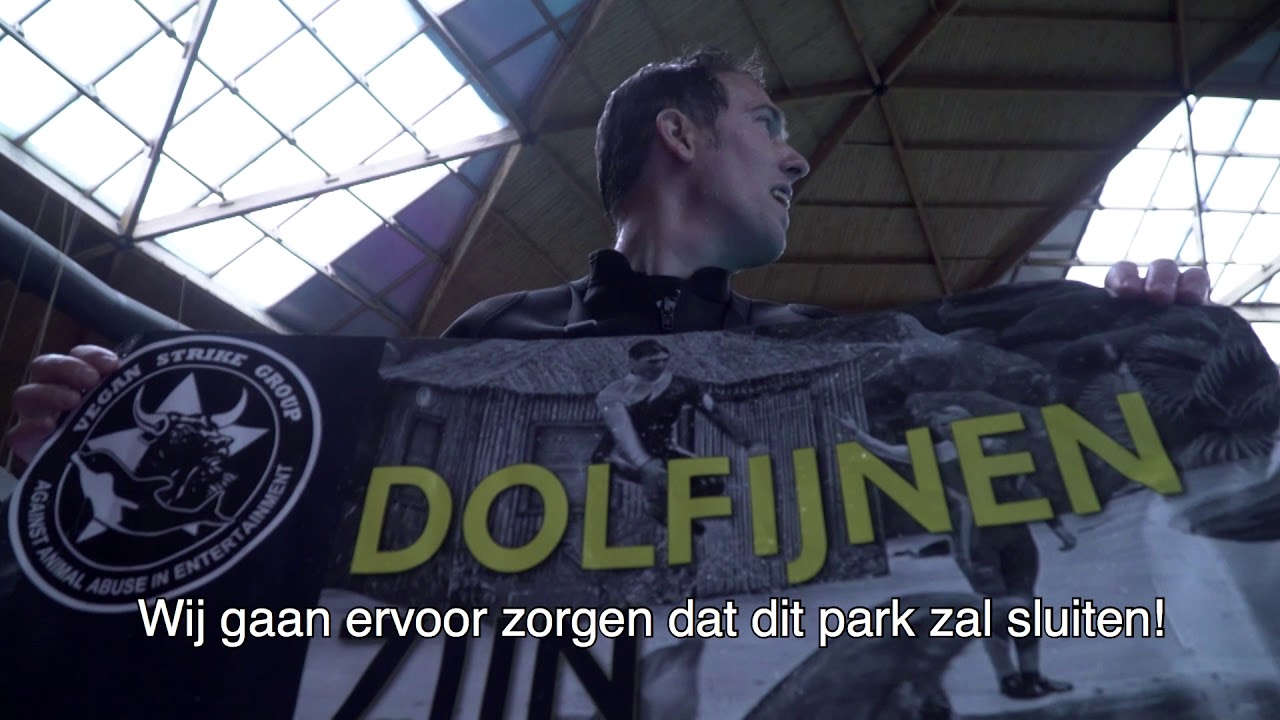 Peter Janssen verzet zich tegen dolfijnenshows
