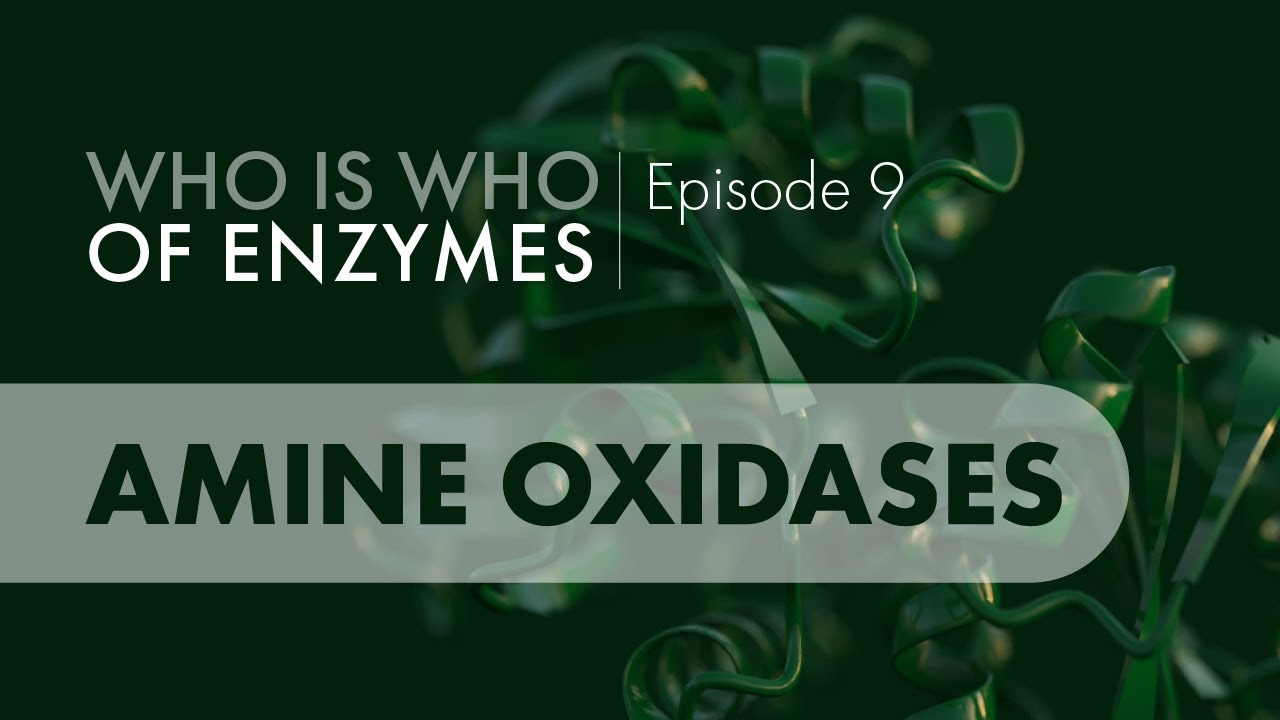 Who Is Who of Enzymes: Amine Oxidases