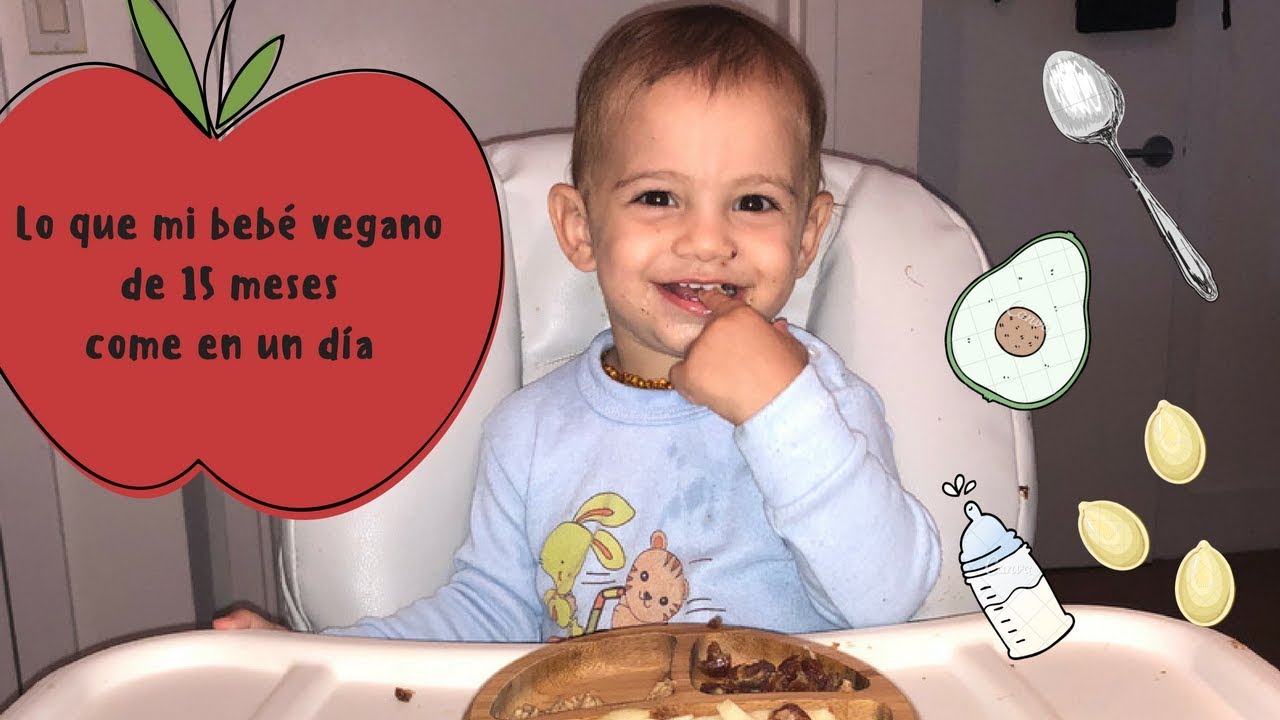 LO QUE MI BEBÉ VEGANO DE 15 MESES COME EN UN DÍA