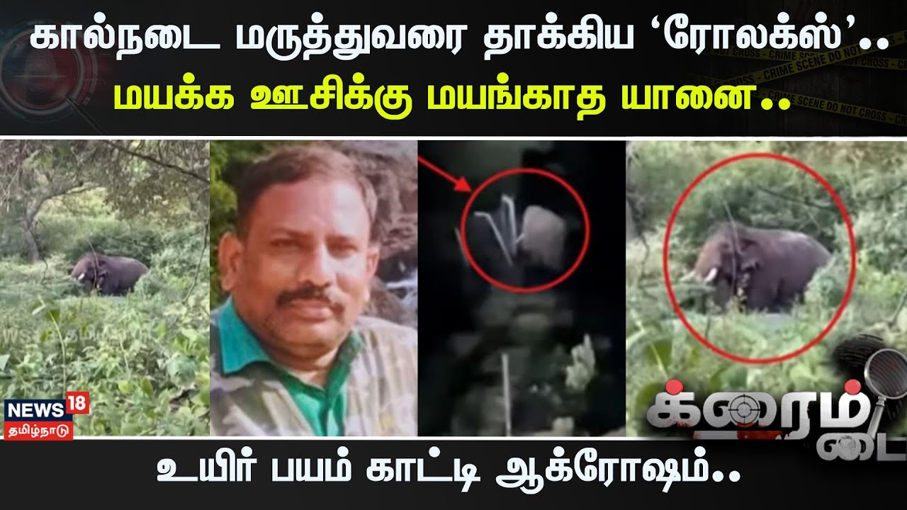 Crime Time | கால்நடை மருத்துவரை தாக்கிய ‘ரோலக்ஸ்’.. மயக்க ஊசிக்கு மயங்காத யானை.. | Coimbatore