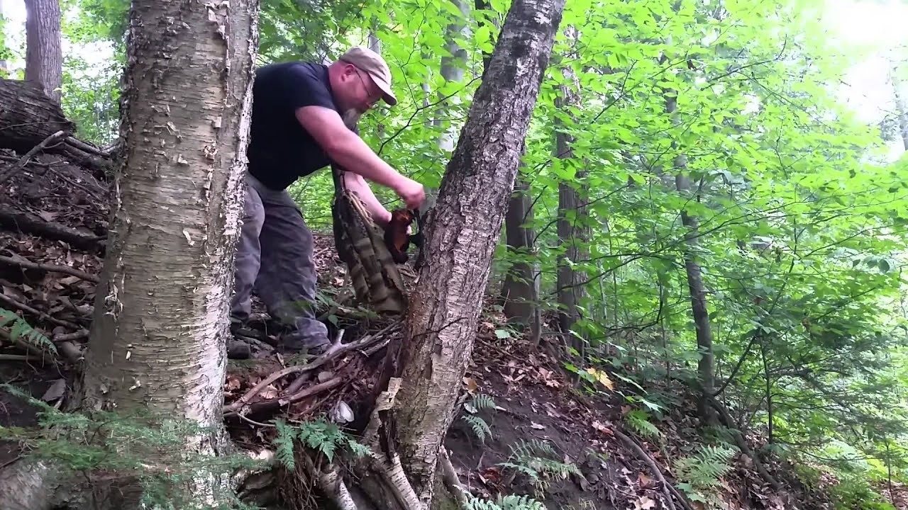Chaga hunt and tips