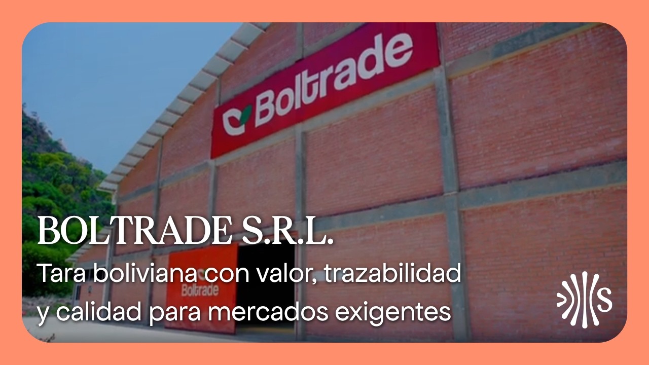BOLTRADE S.R.L. - Tara boliviana con valor, trazabilidad y calidad para mercados exigentes