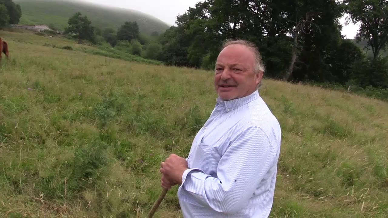 Ganaderos en su habitat | Salers en Calga | 2.8.2019