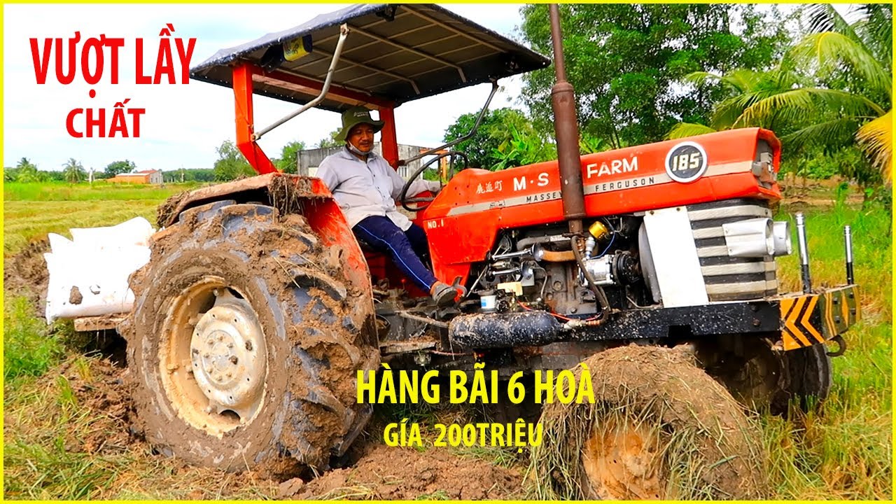 Hàng Chất BÃI 6 HOÀ LONG AN MF 185 Có Vượt MẮC LẦY Đất Đen Lún Nổi  Gía 200 Triệu |Máy Cày Tây Ninh