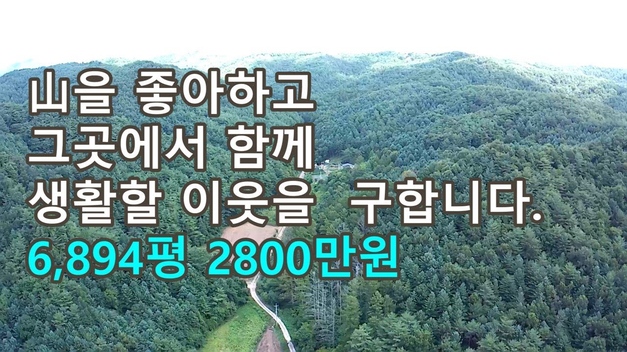 군유림과 1급 계곡수를 접한 임야입니다. #영양부동산#싼땅#시골땅#촌땅#경북땅#仁者樂山#知者樂水