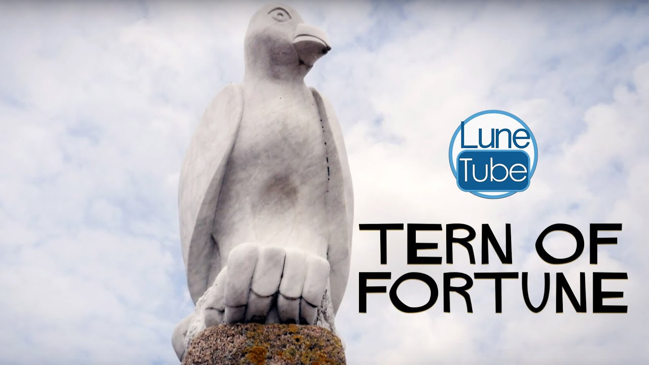 Tern Of Fortune (Overton, Morecambe)