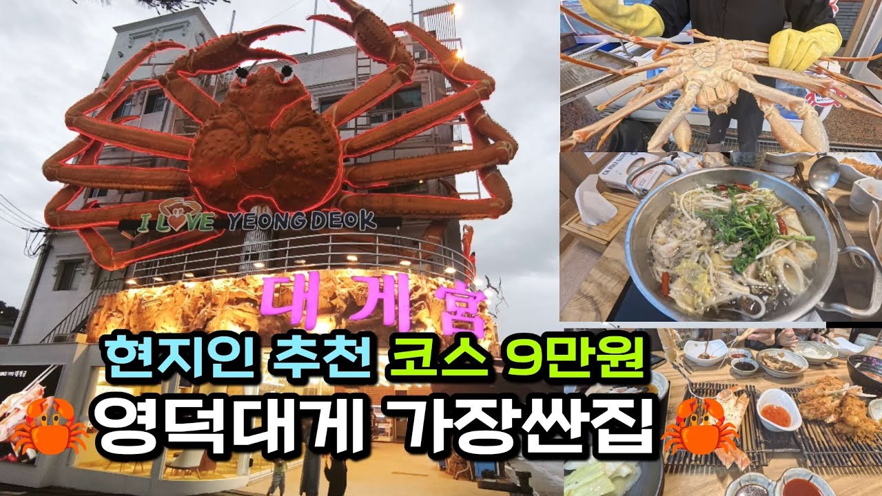 영덕 대게 풀코스 9만원! 영덕대게 가성비 맛집