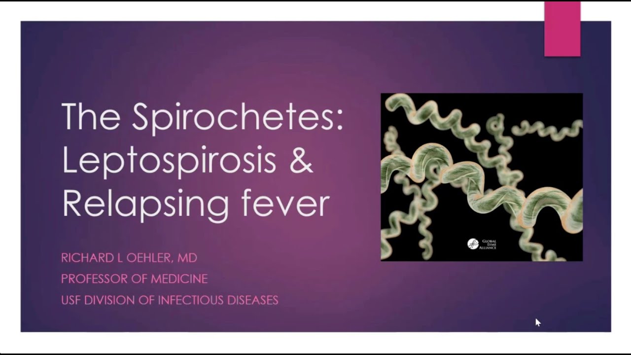 The Spirochetes: Leptospirosis and Relapsing Fever -- Richard Oehler, MD