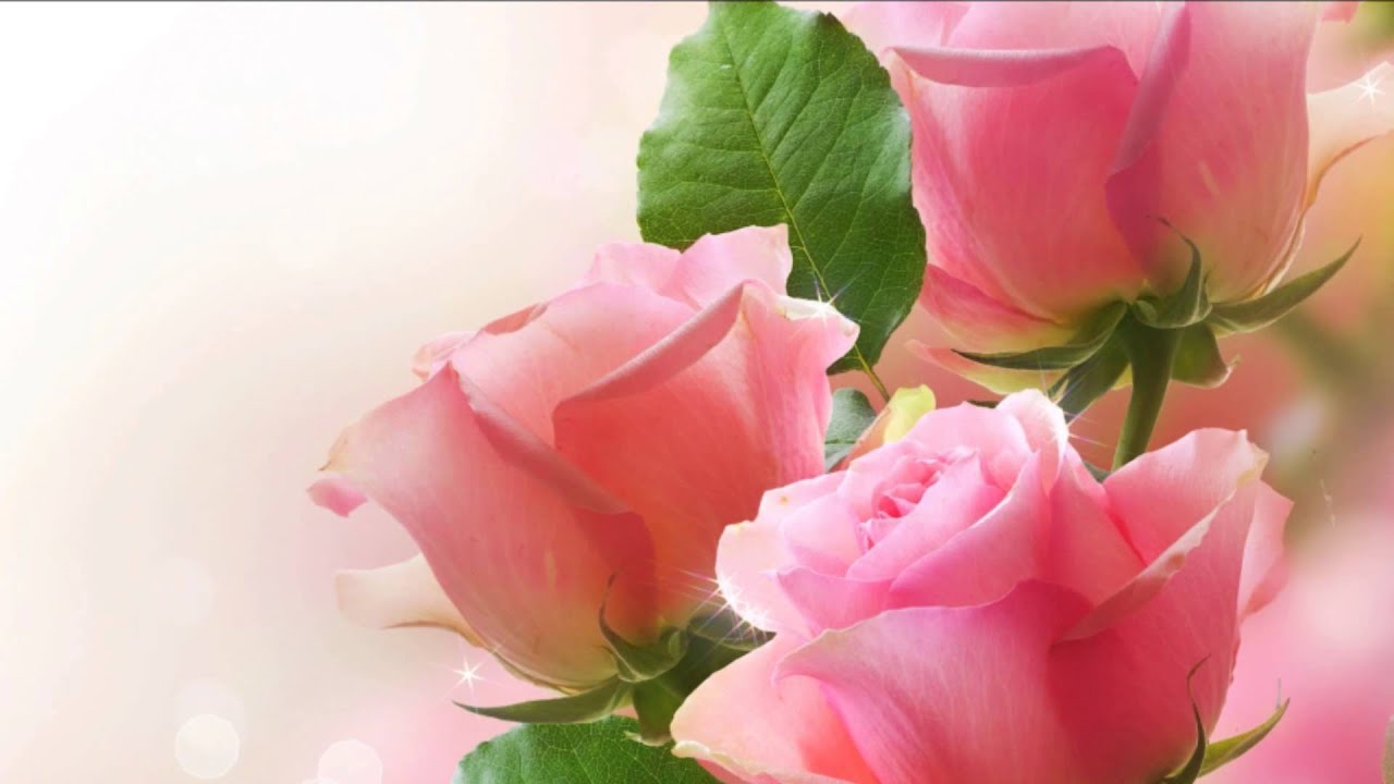 She (Instrumental) ~ Acker Bilk (HD, HQ)