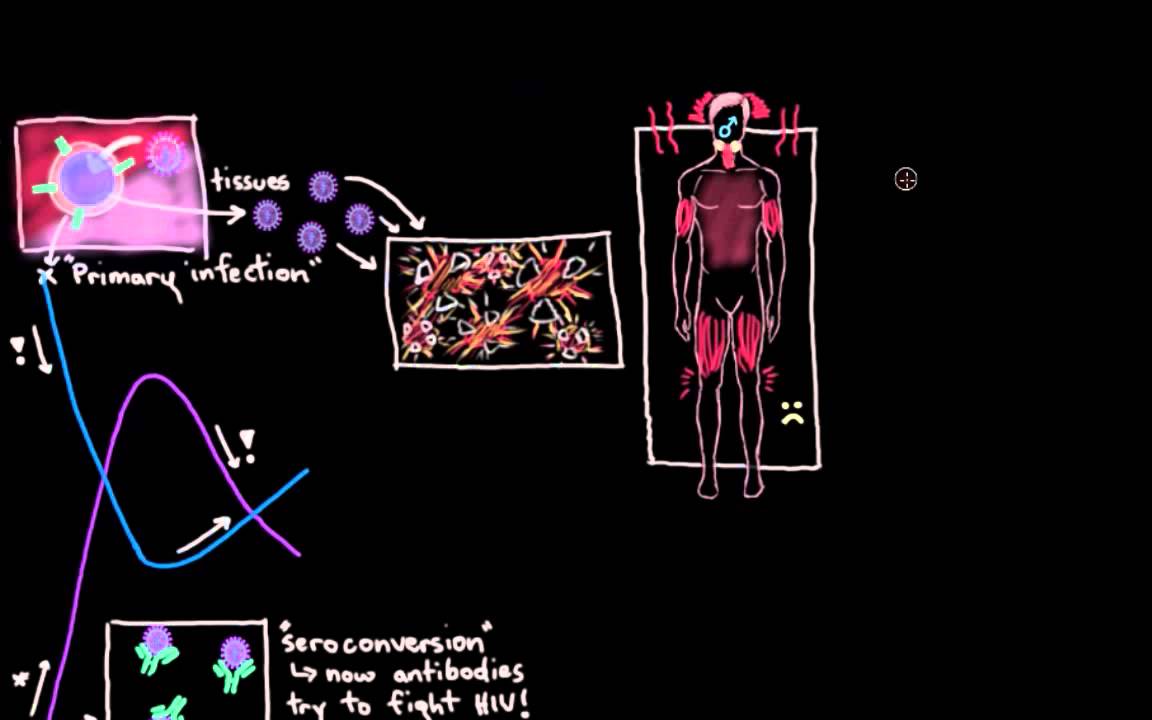 Khan Academy - What are HIV and AIDS?