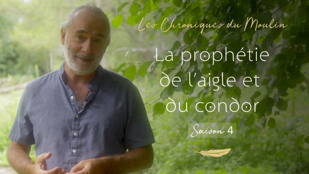 La prophétie de l'aigle et du condor - Arnaud Riou