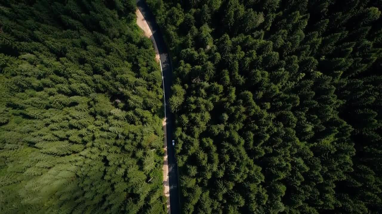 Aerial Shot Of Forest Road Stock Video
