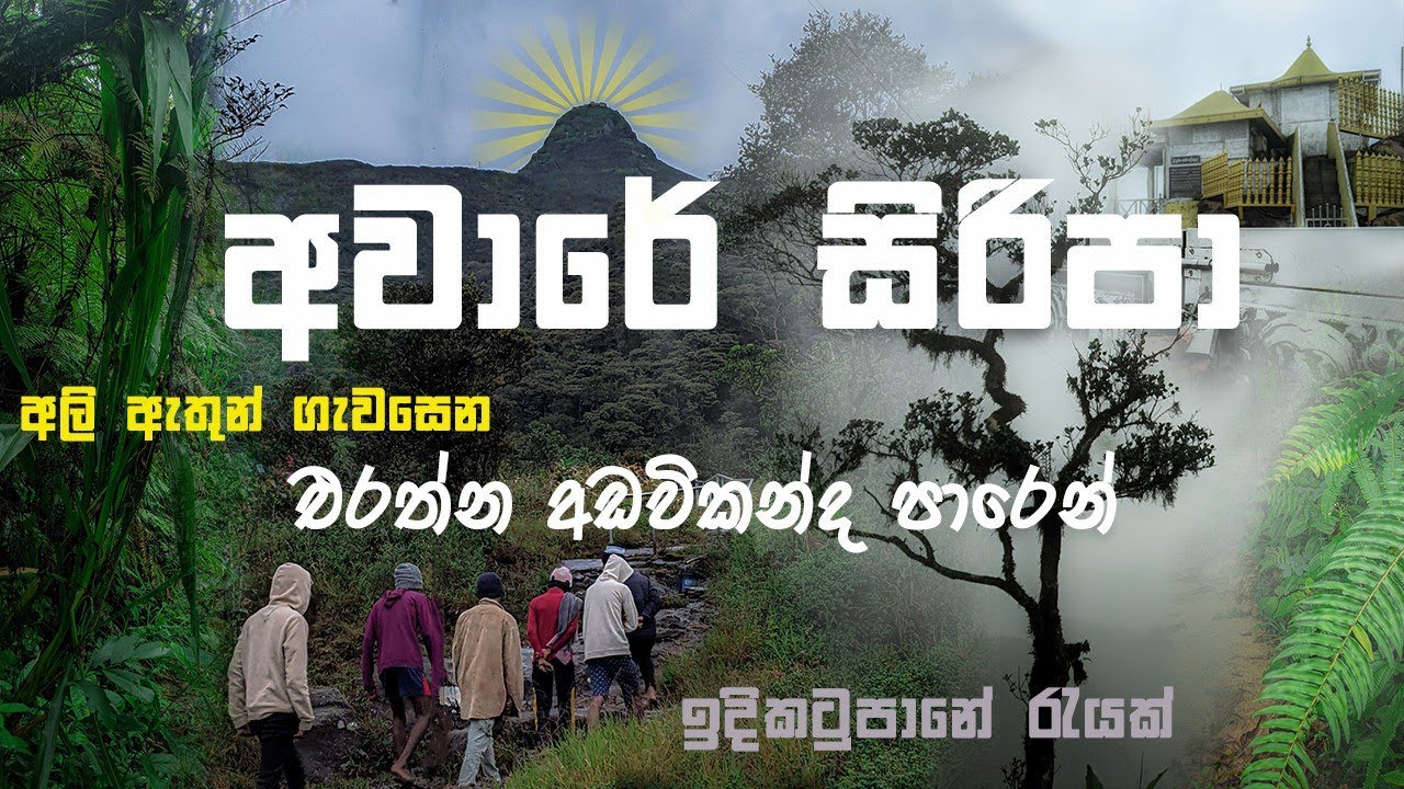 වාරයට හැඩවන ගෞතම ශ්‍රීපාදස්ථානය | සුන්දර අවාරයේ #sripadaya #adamspeak #siripadaya