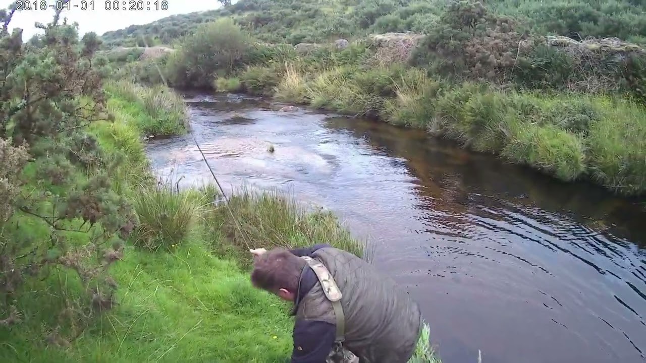 Dartmoor 2023 - 3 days fishing the West Dart & Cherry Brook