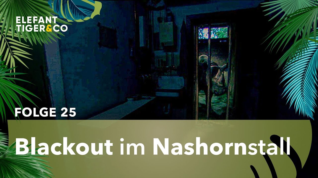 Stromausfall bei den Nashörnern (Folge 25) | Elefant, Tiger & Co. | MDR