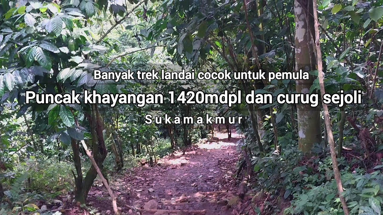 Puncak khayangan 1420mdpl bonus curug sejoli | sukamakmur 