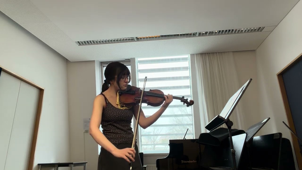 3 Violin Excerpts from Orchestral Repertoire                               