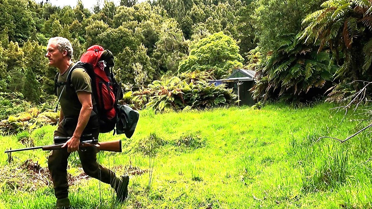 Deer hunting in the Waioeka river valley , New Zealand