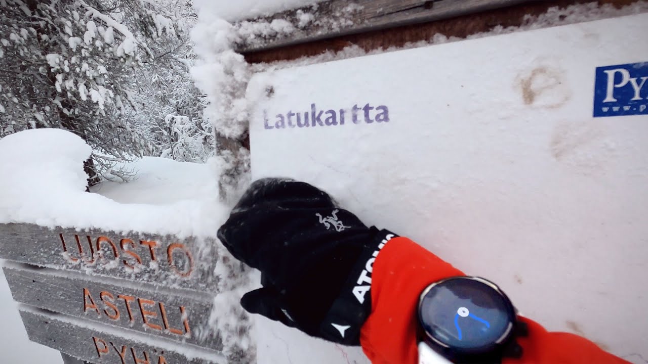 Found in Lapland -20c!!!