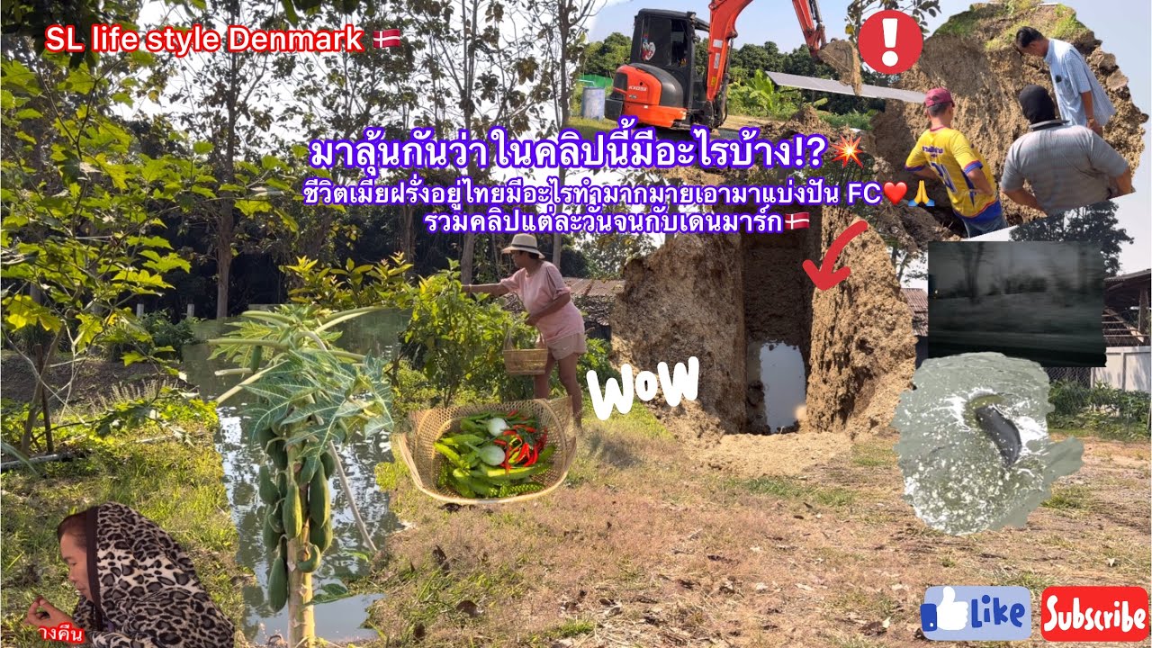#รวมคลิปชีวิตเมียฝรั่งมาลุ้นกันว่าในคลิปนี้มีอะไรบ้างมาแบ่งปันทุกคน!?🙏❤️