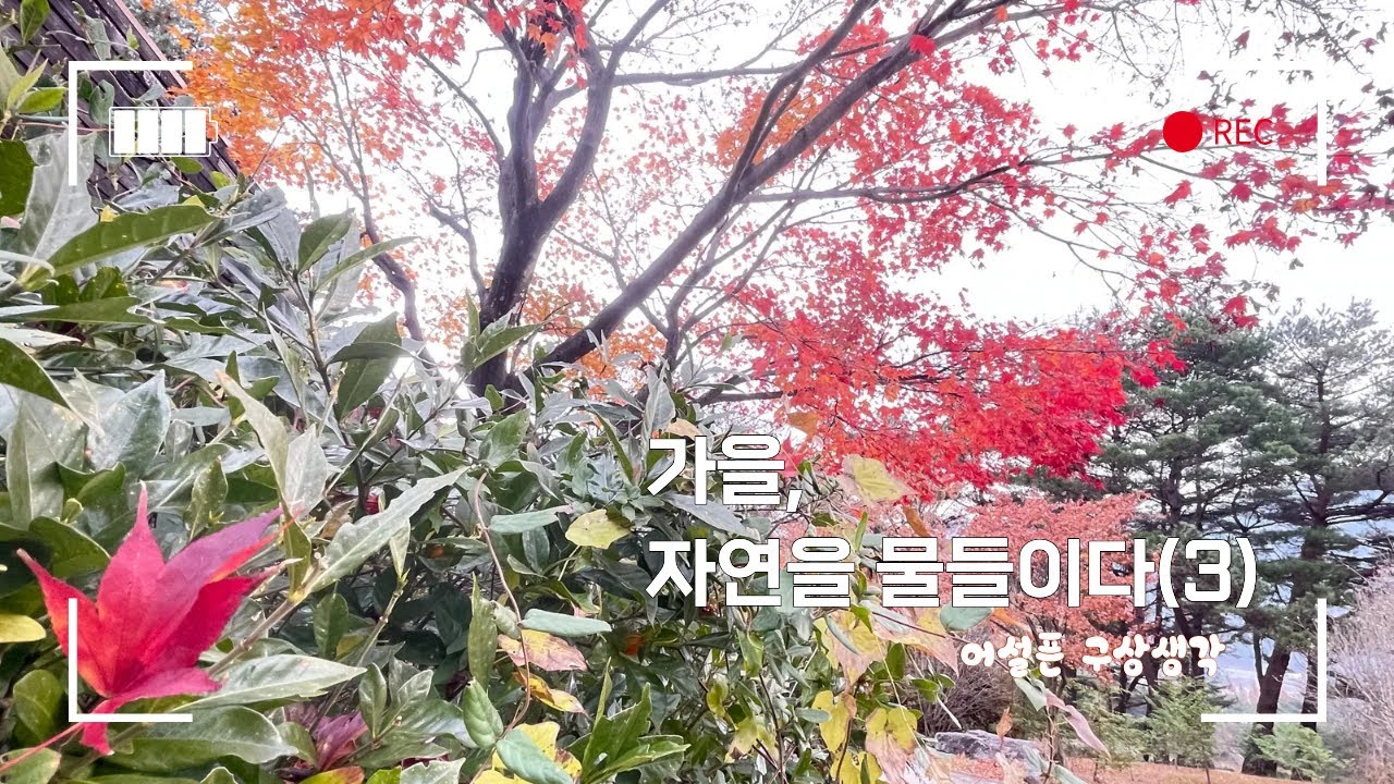 74)2025-1130-가을, 자연을 물들이다(3)