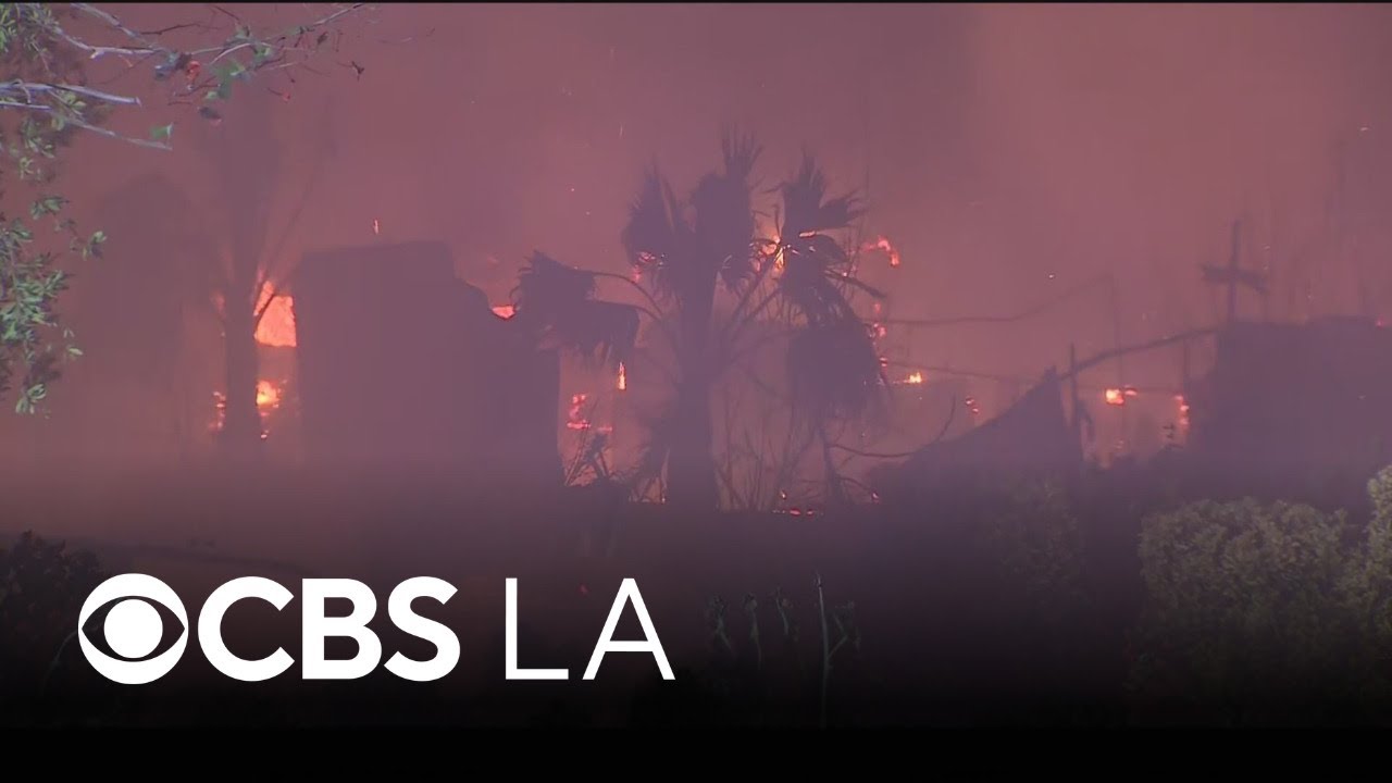 Whistleblower raises concerns about staffing at LA County's emergency management during Eaton Fire