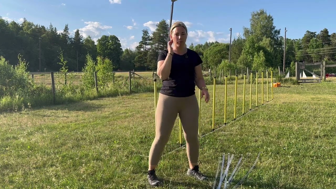 Inspirerande agility. M.Holegård. Agilityträning Grund för inlärning av slalom