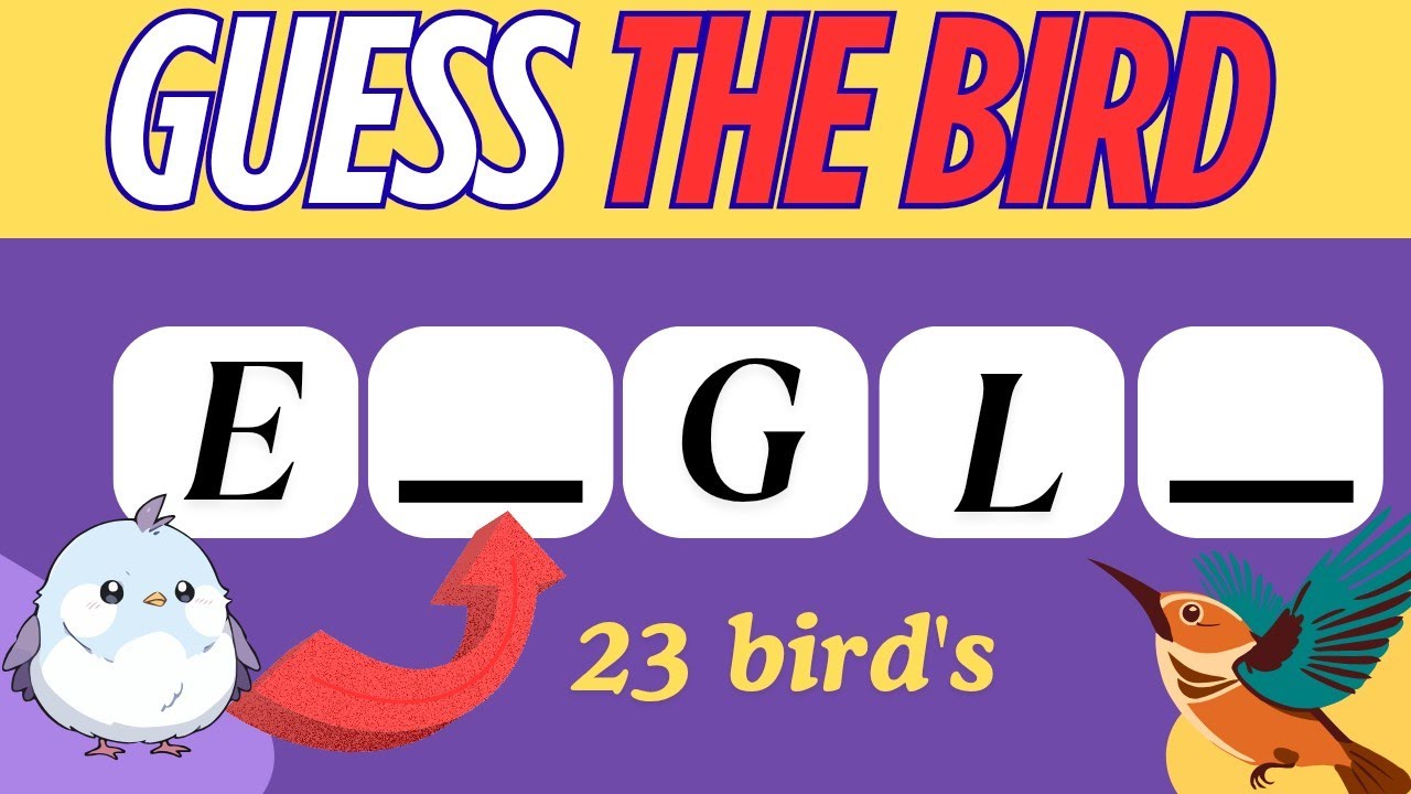 Guess The Bird Name By Missing Letters 🐦🕊️🐥 | bird name challenge | quiz challenge videos @mathbraintube