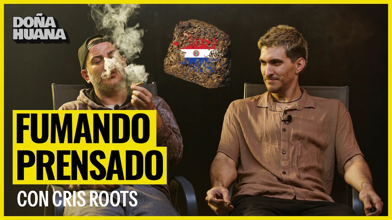 PROBANDO PRENSADO DEL NARCOTRAFICO  CON CRIS ROOTS