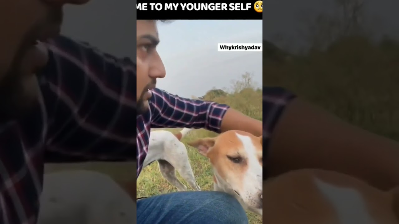 Sher Bano 😎🎥:&nbsp;@whykrishyadav&nbsp;#videos&nbsp;#youngerself&nbsp;#advice&nbsp;#sherbano&nbsp;#doglovers&nbsp;#reel #shorts