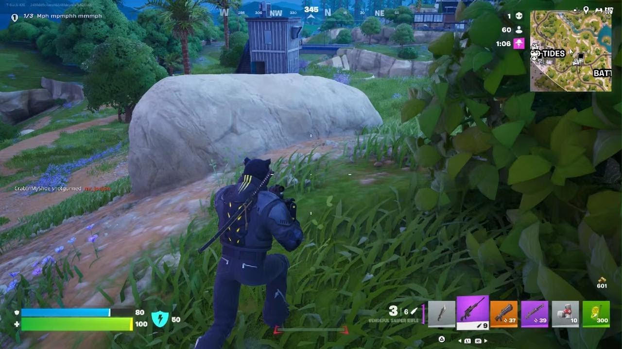 Fortnite_blacktiger style