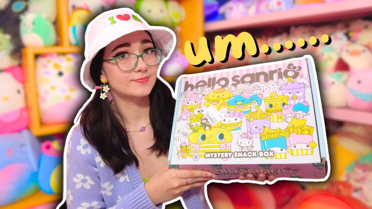 this Sanrio mystery box is....questionable