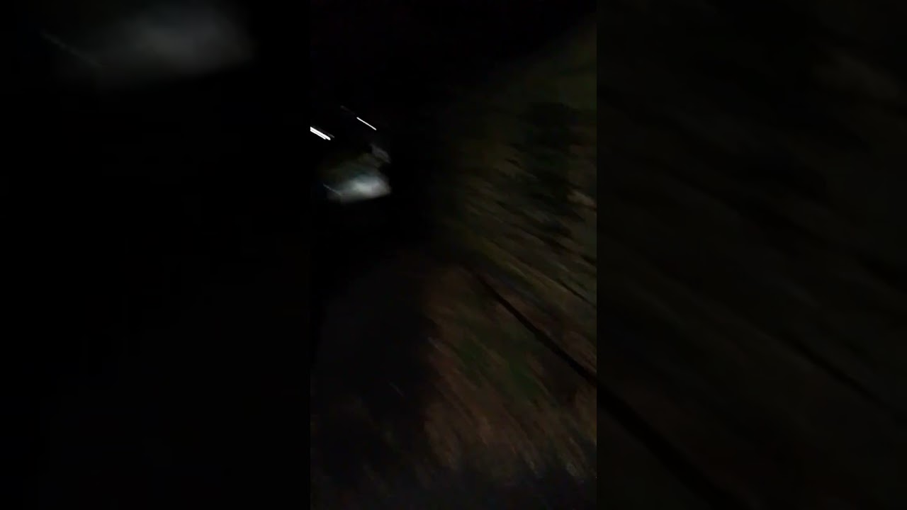 a walk in the dark