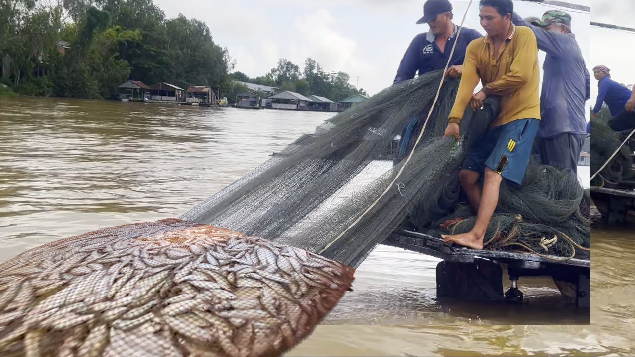 Cào đôi xuất quân mùa nước rút cái kết thật mãn nhãn - Sông Nước Cửu Long - Nguyễn Hùng