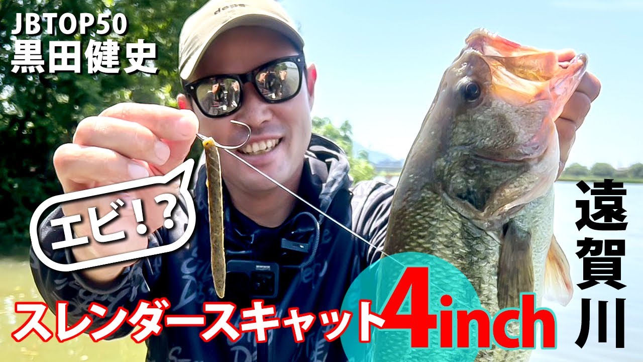 スレンダースキャットはエビだった！？/黒田健史