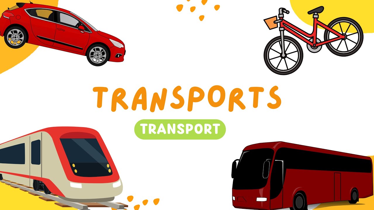 Transportlīdzekļi / Learn About Vehicles in Latvian 🚗🚌✈️🚲🏍️🚈