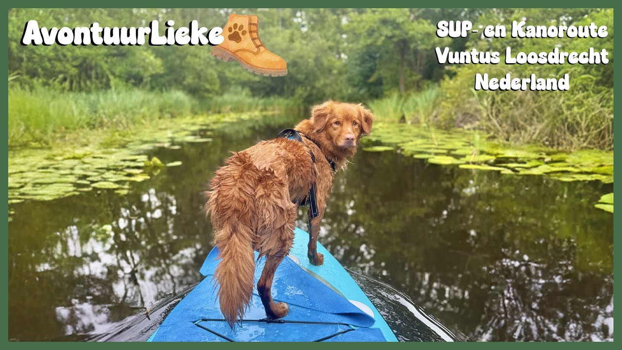 SUP- en kanoroute Vuntus - Loosdrechtse plassen 🐾 AvontuurLieke