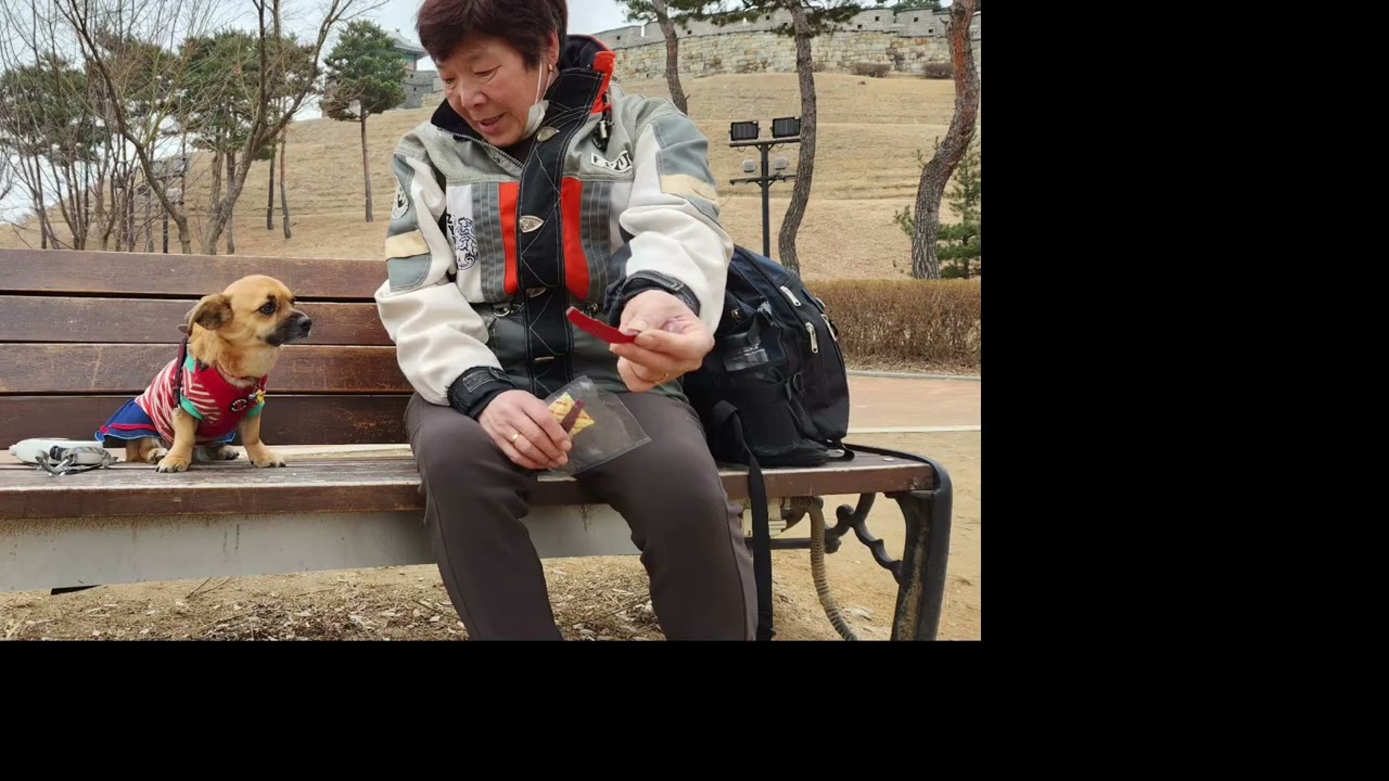 멍이에 일생 이젠 멍이추억을 간직 하고 그리워하면서 ~