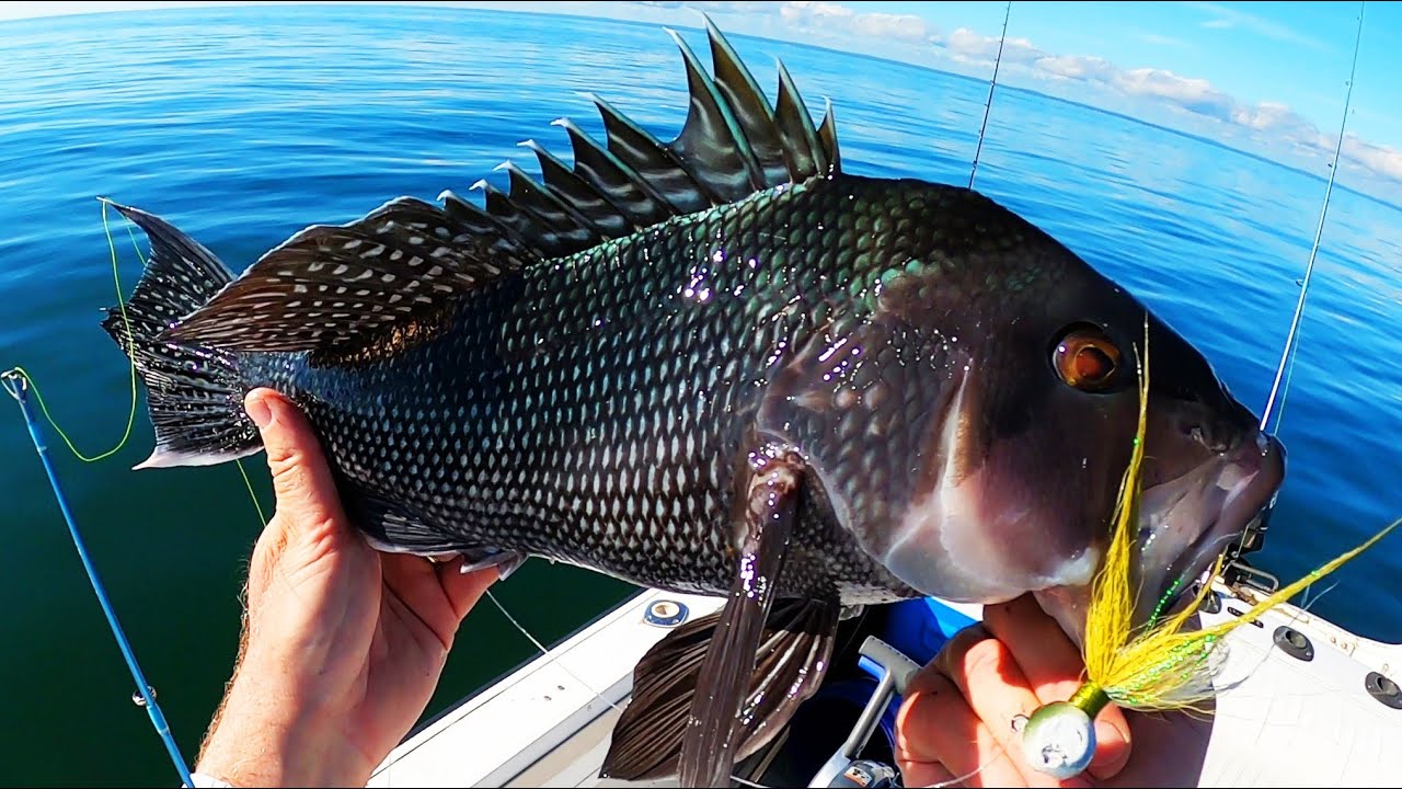 NEW BOAT Rare Find! Awesome Jig Fishing Maiden Trip!